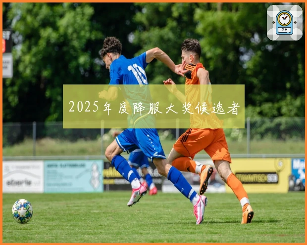 2025年度降服大奖候选者