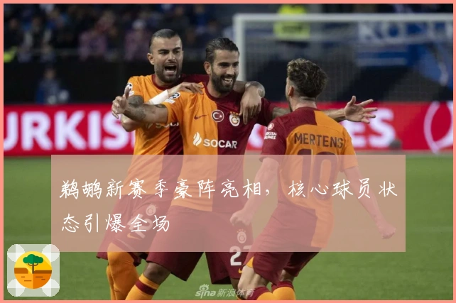 鹈鹕新赛季豪阵亮相，核心球员状态引爆全场