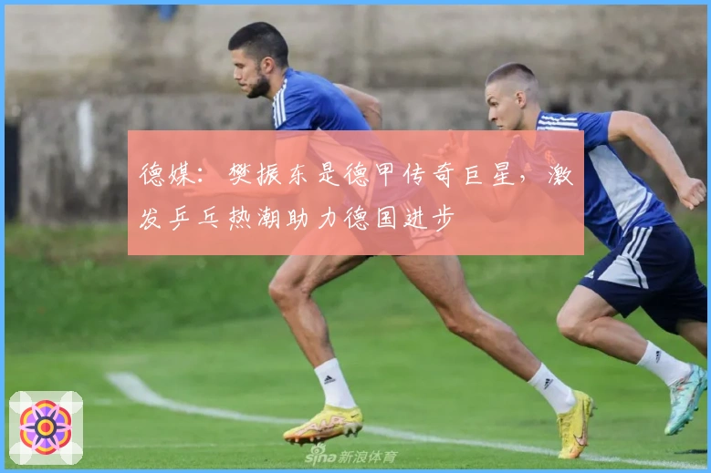 德媒：樊振东是德甲传奇巨星，激发乒乓热潮助力德国进步