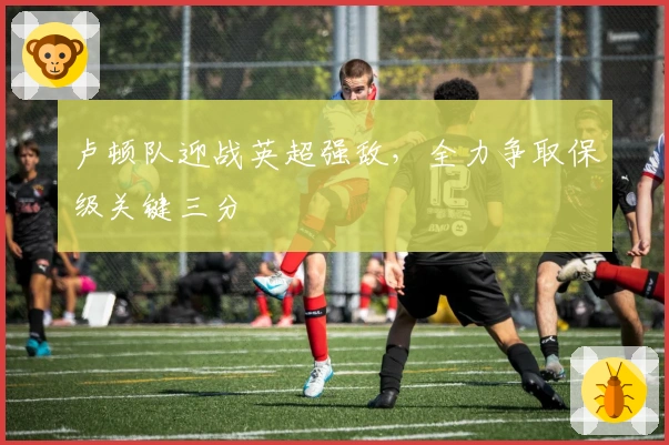 卢顿队迎战英超强敌，全力争取保级关键三分