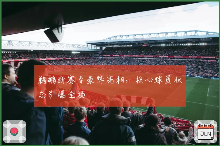 鹈鹕新赛季豪阵亮相，核心球员状态引爆全场