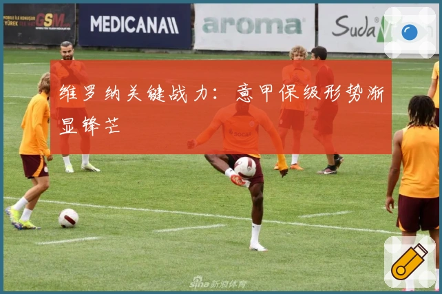 维罗纳关键战力：意甲保级形势渐显锋芒